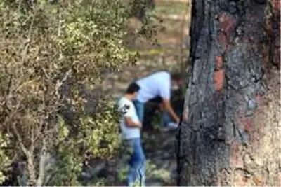 Son dakika gündem: Ormanlık alanda yangın sonrası yanmış ceset bulundu Son dakika gündem: Ormanlık alanda yangın sonrası yanmış ceset bulundu