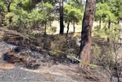 Son dakika gündem: Ormanlık alanda yangın sonrası yanmış ceset bulundu Son dakika gündem: Ormanlık alanda yangın sonrası yanmış ceset bulundu
