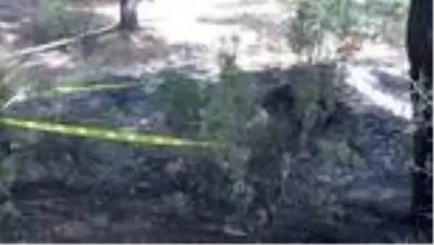 Son dakika gündem: Ormanlık alanda yangın sonrası yanmış ceset bulundu Son dakika gündem: Ormanlık alanda yangın sonrası yanmış ceset bulundu