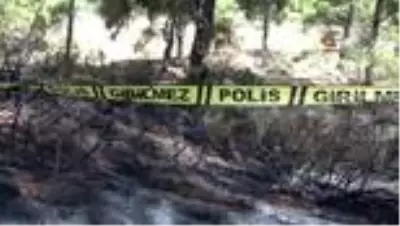 Son dakika gündem: Ormanlık alanda yangın sonrası yanmış ceset bulundu Son dakika gündem: Ormanlık alanda yangın sonrası yanmış ceset bulundu