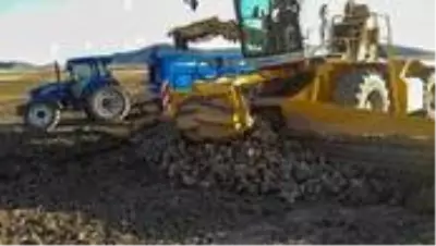 Pancar üreticisi fiyatın açıklanmasını bekliyor Pancar üreticisi fiyatın açıklanmasını bekliyor