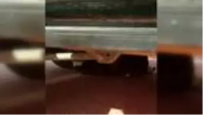 Son dakika gündem: Sanatçı Sümer Ezgü'nün otomobilinin motoruna giren kedi yavrusu, itfaiye ekiplerince çıkarıldı Son dakika gündem: Sanatçı Sümer Ezgü'nün otomobilinin motoruna giren kedi yavrusu, itfaiye ekiplerince çıkarıldı