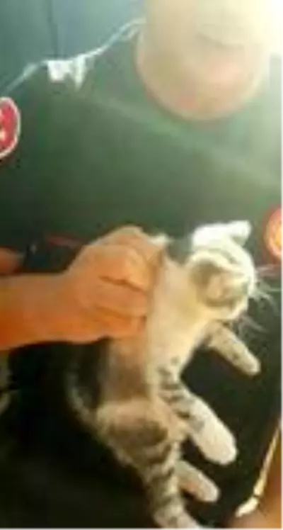 Sanatçı Sümer Ezgü'nün tatiline yaramaz kedi rötarı Sanatçı Sümer Ezgü'nün tatiline yaramaz kedi rötarı