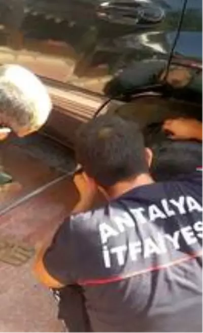 Sanatçı Sümer Ezgü'nün tatiline yaramaz kedi rötarı Sanatçı Sümer Ezgü'nün tatiline yaramaz kedi rötarı