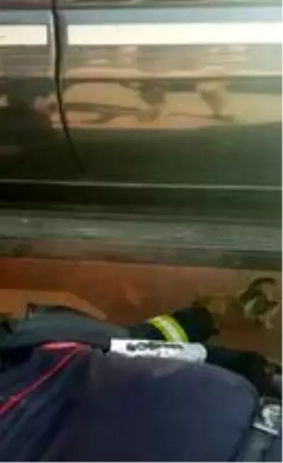 Sanatçı Sümer Ezgü'nün tatiline yaramaz kedi rötarı Sanatçı Sümer Ezgü'nün tatiline yaramaz kedi rötarı