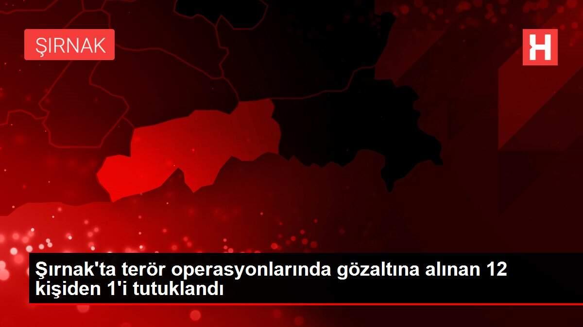 Şırnak'ta terör operasyonlarında gözaltına alınan 12 kişiden 1'i tutuklandı Şırnak'ta terör operasyonlarında gözaltına alınan 12 kişiden 1'i tutuklandı