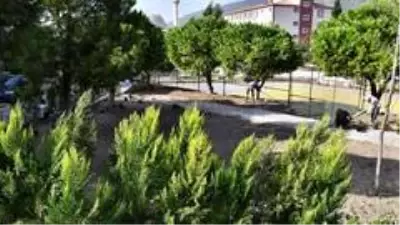 Söke Belediyesi park yapımında tempo arttırdı Söke Belediyesi park yapımında tempo arttırdı
