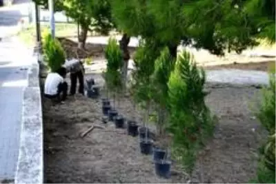 Söke Belediyesi park yapımında tempo arttırdı Söke Belediyesi park yapımında tempo arttırdı