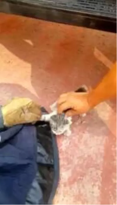 Sümer Ezgü'nün aracının motoruna giren kediyi, itfaiye çıkardı Sümer Ezgü'nün aracının motoruna giren kediyi, itfaiye çıkardı