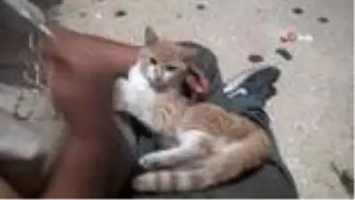 Taksim'de evsiz Mazlum ve kedinin dostluğu Taksim'de evsiz Mazlum ve kedinin dostluğu
