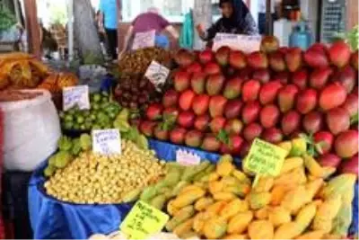 Alanya'da yetişen tropik meyveler, 350 liraya varan fiyatlarıyla dudak uçuklatıyor Alanya'da yetişen tropik meyveler, 350 liraya varan fiyatlarıyla dudak uçuklatıyor