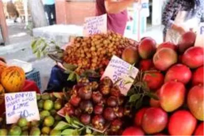 Alanya'da yetişen tropik meyveler, 350 liraya varan fiyatlarıyla dudak uçuklatıyor Alanya'da yetişen tropik meyveler, 350 liraya varan fiyatlarıyla dudak uçuklatıyor