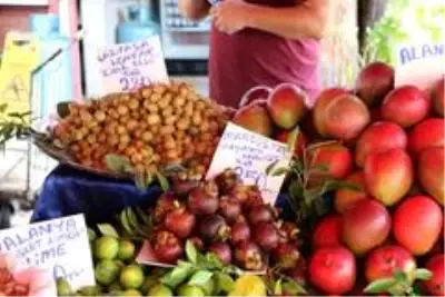 Alanya'da yetişen tropik meyveler, 350 liraya varan fiyatlarıyla dudak uçuklatıyor Alanya'da yetişen tropik meyveler, 350 liraya varan fiyatlarıyla dudak uçuklatıyor