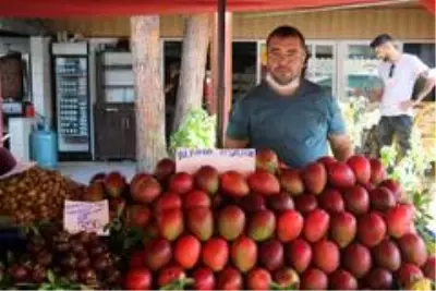 Alanya'da yetişen tropik meyveler 350 liraya varan fiyatlarıyla dudak uçuklatıyor Alanya'da yetişen tropik meyveler 350 liraya varan fiyatlarıyla dudak uçuklatıyor
