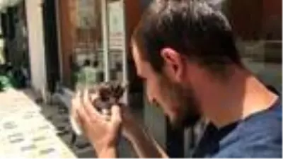 Türkiye'nin 2'nci down sendromlu kedisi Bayburt'ta Türkiye'nin 2'nci down sendromlu kedisi Bayburt'ta