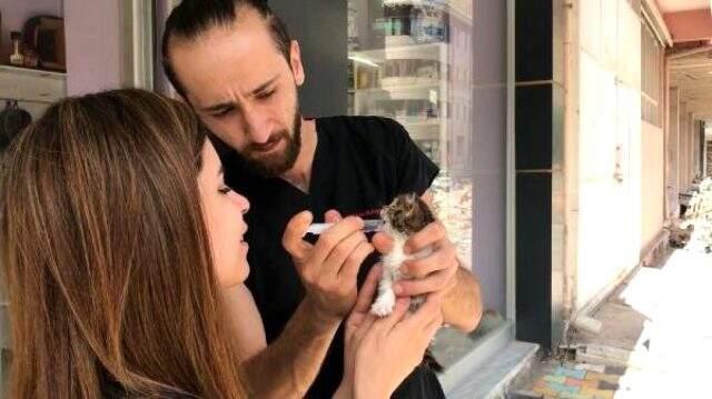 Türkiye'nin 2'nci down sendromlu kedisi Bayburt'ta Türkiye'nin 2'nci down sendromlu kedisi Bayburt'ta