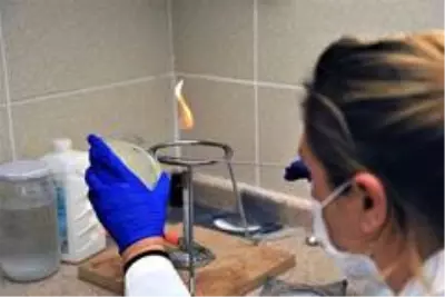 Yerel tohumlar laboratuvarlarda test ediliyor Yerel tohumlar laboratuvarlarda test ediliyor