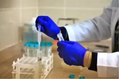 Yerel tohumlar laboratuvarlarda test ediliyor Yerel tohumlar laboratuvarlarda test ediliyor