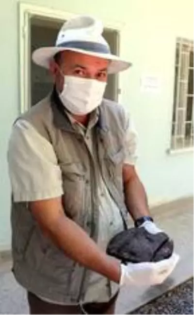 6 bin yıllık Kültepe'de kazı çalışmaları 72 yıldır sürüyor 6 bin yıllık Kültepe'de kazı çalışmaları 72 yıldır sürüyor