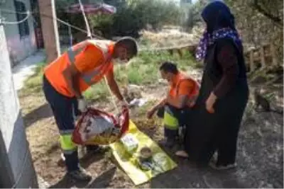 Altındağ Belediyesi, sokak hayvanlarını mamasız bırakmadı Altındağ Belediyesi, sokak hayvanlarını mamasız bırakmadı