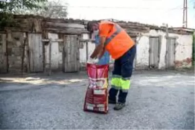 Altındağ Belediyesi, sokak hayvanlarını mamasız bırakmadı Altındağ Belediyesi, sokak hayvanlarını mamasız bırakmadı