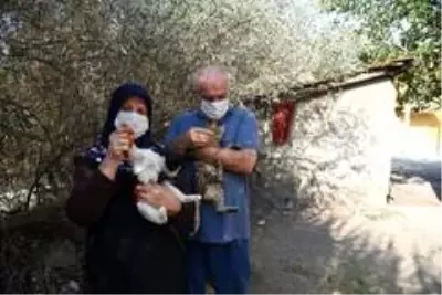 Altındağ Belediyesi, sokak hayvanlarını mamasız bırakmadı Altındağ Belediyesi, sokak hayvanlarını mamasız bırakmadı