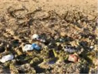 Altınkum Plajı'nda kirlilik uyarısı Altınkum Plajı'nda kirlilik uyarısı