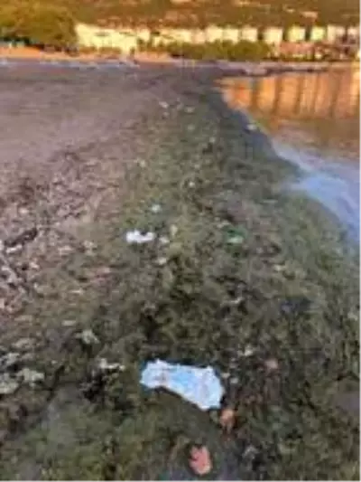 Altınkum Plajı'nda kirlilik uyarısı Altınkum Plajı'nda kirlilik uyarısı