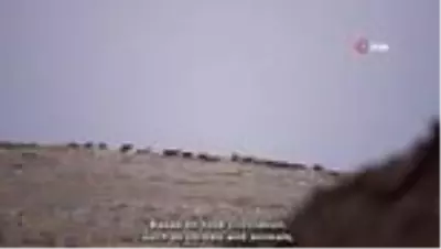 Anadolu'da taşlar yerinden oynuyor