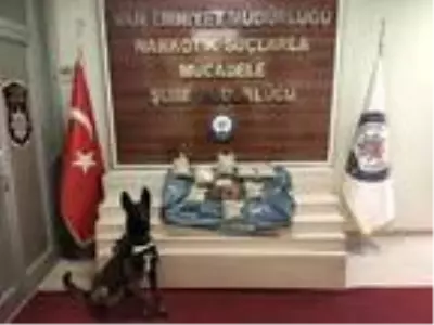 Bal kutularındaki uyuşturucuyu 'Zeus' buldu Bal kutularındaki uyuşturucuyu 'Zeus' buldu