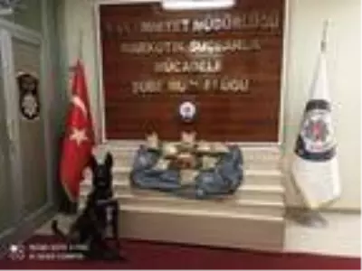 Bal kutularındaki uyuşturucuyu 'Zeus' buldu Bal kutularındaki uyuşturucuyu 'Zeus' buldu