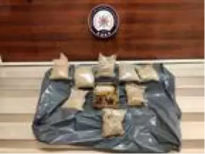 Bal kutularındaki uyuşturucuyu 'Zeus' buldu Bal kutularındaki uyuşturucuyu 'Zeus' buldu