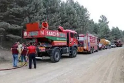 Devrilen ağacın kopardığı elektrik teli ormanı yaktı Devrilen ağacın kopardığı elektrik teli ormanı yaktı