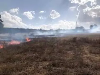 Son Dakika | Bozüyük'te 3 ayrı noktada çıkan yangın çevreye zarar vermeden söndürüldü Son Dakika | Bozüyük'te 3 ayrı noktada çıkan yangın çevreye zarar vermeden söndürüldü
