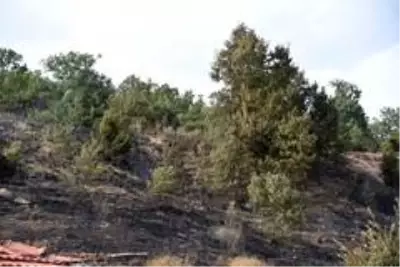Son Dakika | Bozüyük'te 3 ayrı noktada çıkan yangın çevreye zarar vermeden söndürüldü Son Dakika | Bozüyük'te 3 ayrı noktada çıkan yangın çevreye zarar vermeden söndürüldü