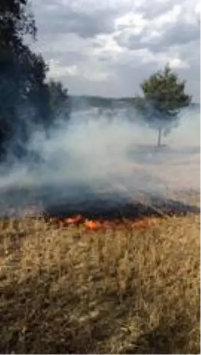 Son Dakika | Bozüyük'te 3 ayrı noktada çıkan yangın çevreye zarar vermeden söndürüldü Son Dakika | Bozüyük'te 3 ayrı noktada çıkan yangın çevreye zarar vermeden söndürüldü