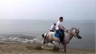 Eski yarış atları, binicilik eğitiminde kullanılıyor Eski yarış atları, binicilik eğitiminde kullanılıyor