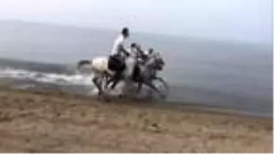 Eski yarış atları, binicilik eğitiminde kullanılıyor Eski yarış atları, binicilik eğitiminde kullanılıyor