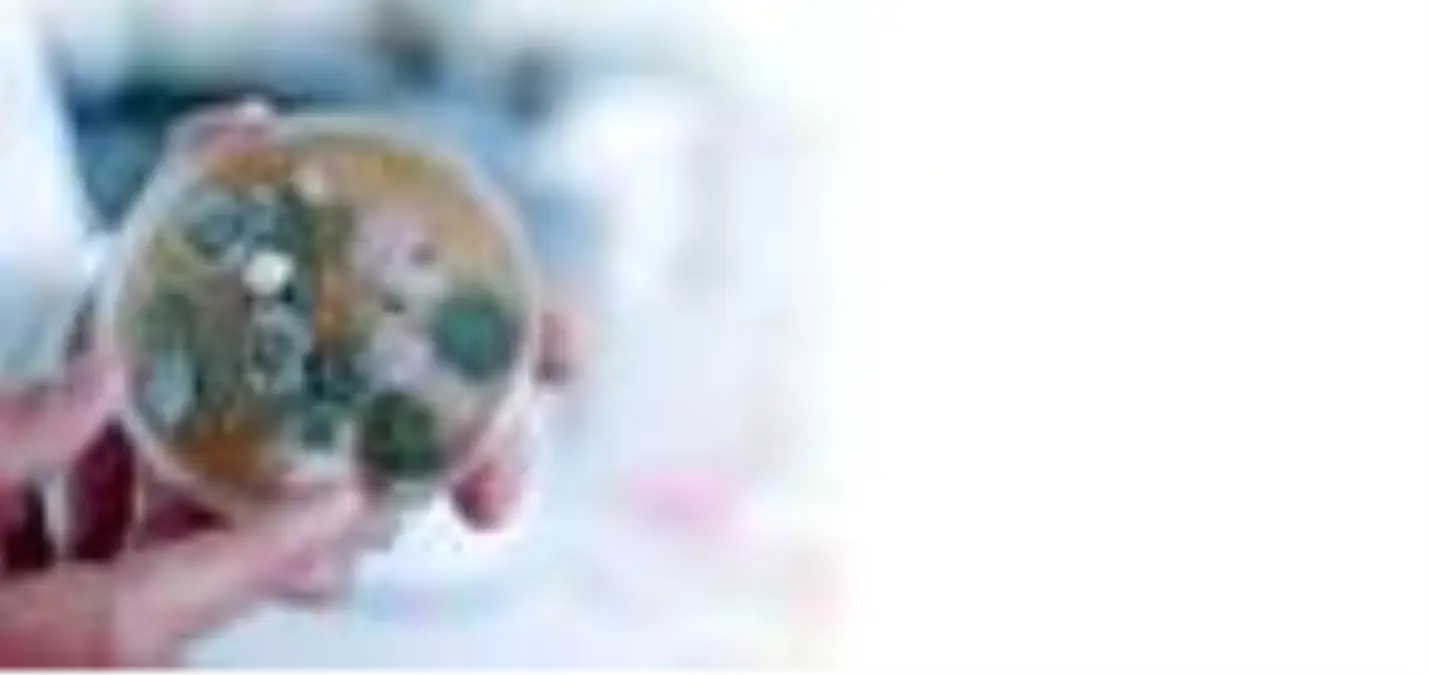 Ev tozu araştırmasının sonuçları açıklandı; evlerin yüzde 93'ünde ağır metaller bulundu