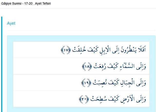 Gaşiye Suresi anlamı nedir? Gaşiye tefsiri nedir? Gaşiye ne demektir? Gaşiya Arapça okunuşu nedir?
