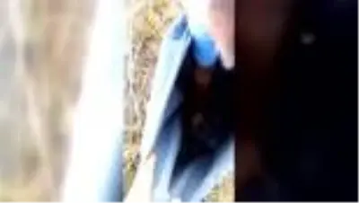 Havuzda telef olmak üzereyken bulunan su kaplumbağaları doğal yaşam alanına bırakıldı Havuzda telef olmak üzereyken bulunan su kaplumbağaları doğal yaşam alanına bırakıldı