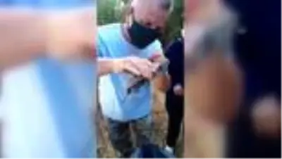 Havuzda telef olmak üzereyken bulunan su kaplumbağaları doğal yaşam alanına bırakıldı Havuzda telef olmak üzereyken bulunan su kaplumbağaları doğal yaşam alanına bırakıldı