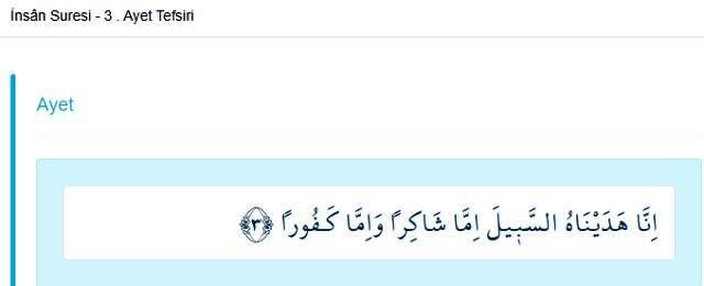 İnsan Suresi nedir? İnsan Suresi okunuşu nedir? İnsan Suresi meali nedir?