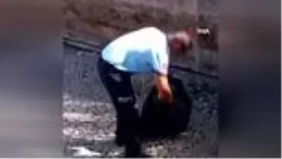 Son dakika 3. sayfa: İtfaiye ekiplerinden kaplumbağa kurtarma operasyonu Son dakika 3. sayfa: İtfaiye ekiplerinden kaplumbağa kurtarma operasyonu