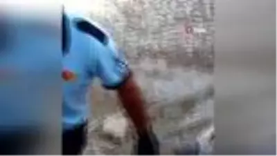 Son dakika 3. sayfa: İtfaiye ekiplerinden kaplumbağa kurtarma operasyonu Son dakika 3. sayfa: İtfaiye ekiplerinden kaplumbağa kurtarma operasyonu