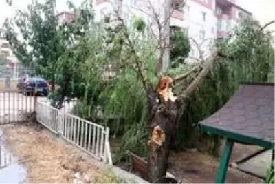 Kocaeli'de kuvvetli rüzgar ağaçları devirdi, yolları su bastı Kocaeli'de kuvvetli rüzgar ağaçları devirdi, yolları su bastı