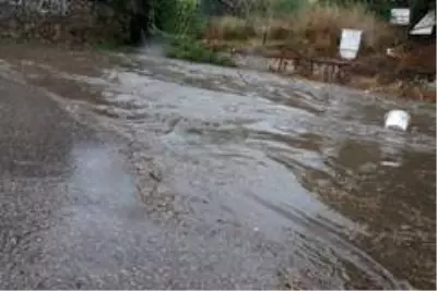 Kocaeli'de kuvvetli rüzgar ağaçları devirdi, yolları su bastı Kocaeli'de kuvvetli rüzgar ağaçları devirdi, yolları su bastı