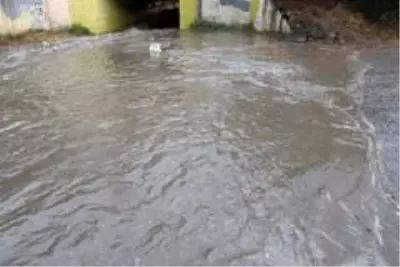 Kocaeli'de kuvvetli rüzgar ağaçları devirdi, yolları su bastı Kocaeli'de kuvvetli rüzgar ağaçları devirdi, yolları su bastı