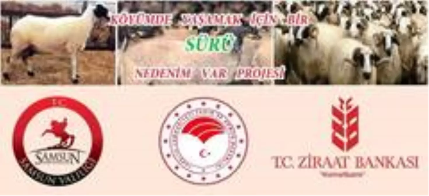 'Köyümde Yaşamak İçin Bir Sürü Nedenim Var' Projesi
