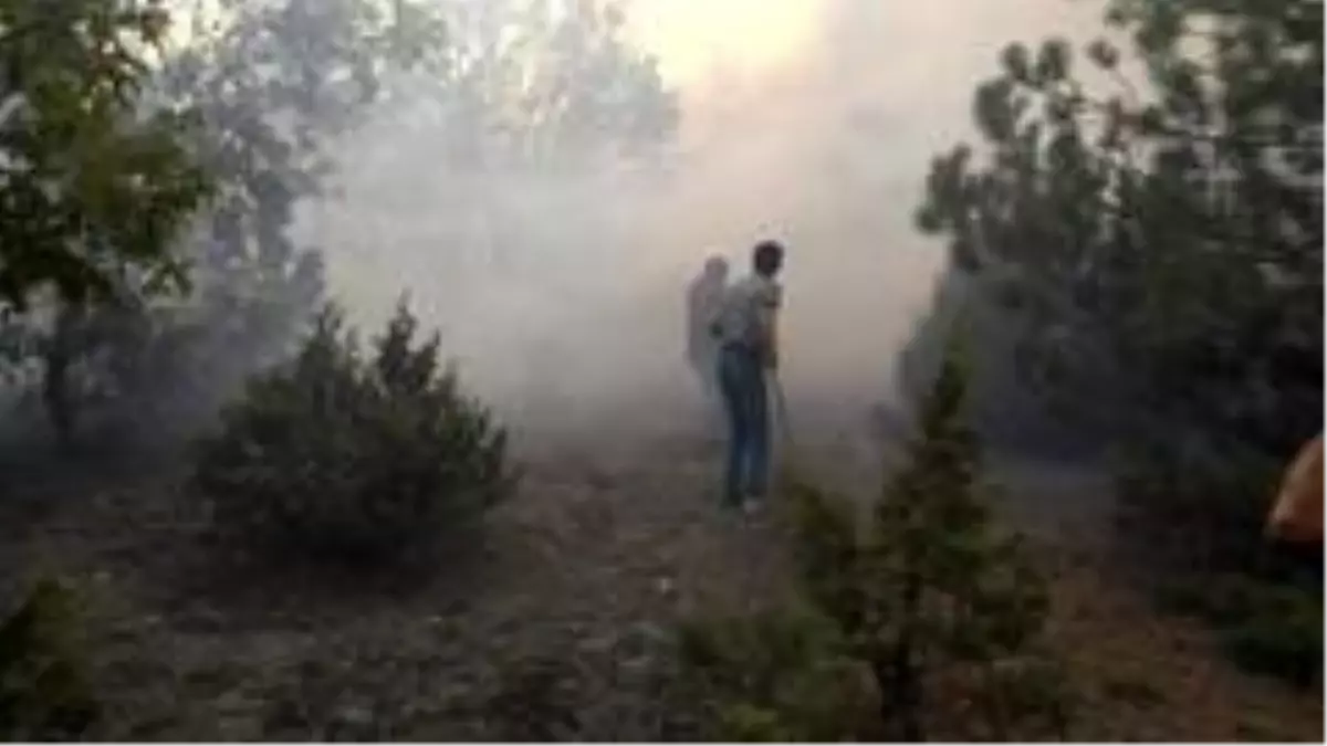 Son dakika... Kütahya'da orman yangını